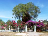 Mui Ne maison fleurie