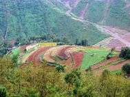 Dongchuan 1f