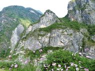 Gorges du saut du tigre 1wt