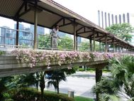 Cité jardin (6)