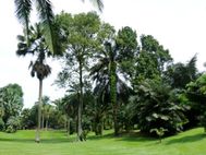 JARDIN BOTANIQUE Son parc (3)