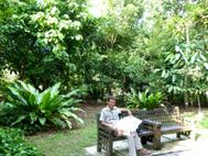 JARDIN BOTANIQUE ses arbres (25)