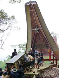 TORAJA Cérémonie funéraire33