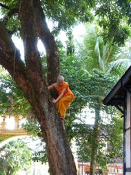 Vientiane moines 3