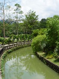 KUALA LUMPUR Jardin botanique Perdana (5)