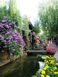 Lijiang 2z
