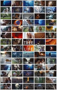 TreeOfLife.jpg