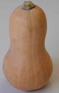 CourgeMusquee.jpg