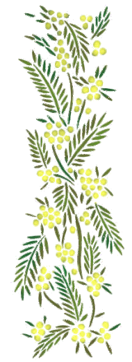 frise-mimosa-verticale.gif