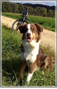M et vélo