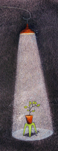 Images-depuis-janvier-2012-1382-copie-1.gif