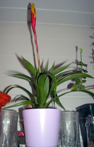 DSCN7594.JPG