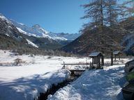 100 0108 vallon des oules vu du laus