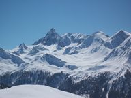 100_0359-copie-1.jpg