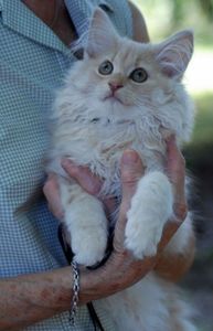 FREDON-AOUT-20100001_2.JPG