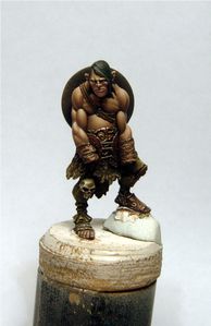 Aertis-WIP-bouclier-2.jpg