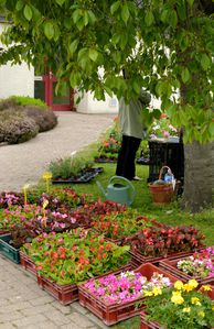 Bardouville Marché Jardiniers 2010 ext B