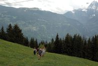 Mont-Joux 0065