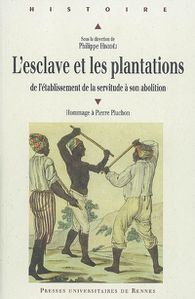 esclaves-dans-les-plantations.jpg