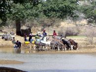 Dakoussa 2010 041