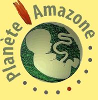 societe civile planete amazone 00 art
