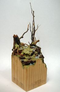 Socle-Aertis-1.jpg