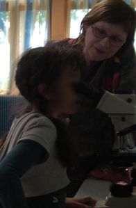 blog-microscope-copie-1.jpg