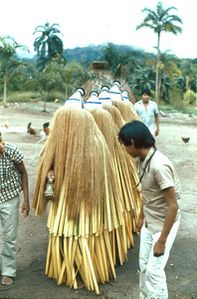 395px-Piaroa_-_danseurs_masques_sortant_de_la_maison_commu.jpg