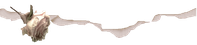 divider8