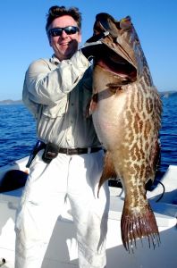 broomtail grouper canto (396x600)