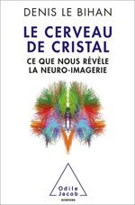 anae-le-cerveau-de-cristal-.jpg