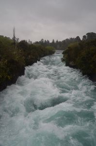 Parc-Geothermal-Rotorua 7737