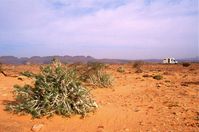 Mauritanie-passe Amogjar 4