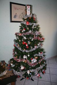 Immagine-558-copie-1.jpg