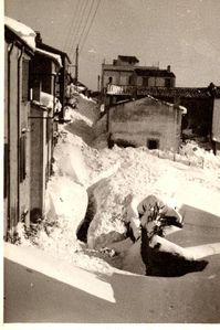 neige-1946-4.jpg