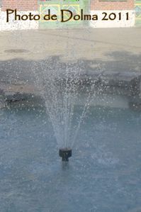 envoi-d-eau.jpg