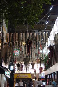 DSC02083.JPG
