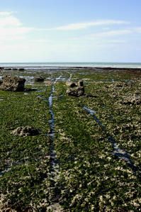 Les-Petites-Dalles-Le-6-avril-2008-rando--littoral__3.jpg
