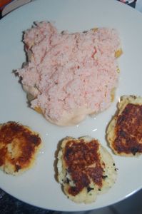 20100128_3.JPG