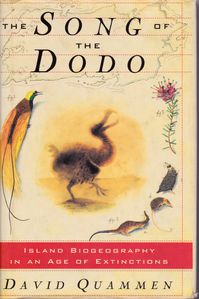 song dodo