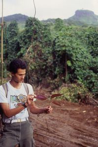 JYM & miconia Moorea 1993