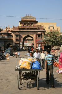 Marche Jodhpur