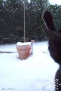 Patchouli et la neige 3