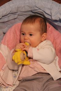 IMG_1505-copie-1.jpg