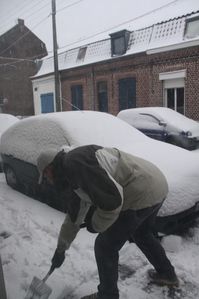 decembre 1231