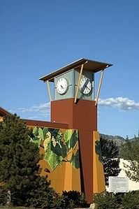 VisCenter9511sml