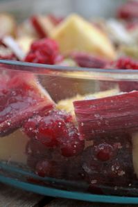 crumble rhubarbe fruits rouges (8) modifié-1