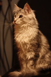 Portee-du-07-Aout-2011-4768.JPG