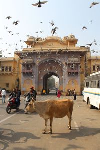 Agra-Rahjastan 8742