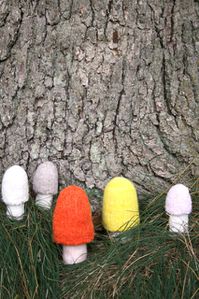 Mushrooms-in-nature-037.jpg